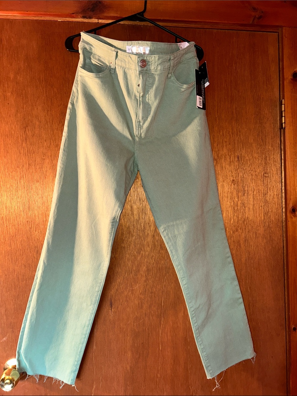 Sea Green high rise pants